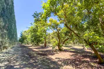 25 Orua Lane, Whenuakite