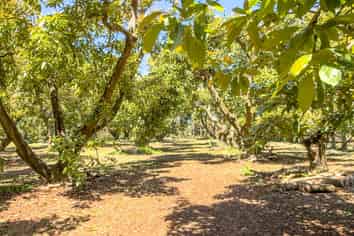 25 Orua Lane, Whenuakite