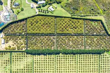 25 Orua Lane, Whenuakite