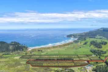 25 Orua Lane, Whenuakite