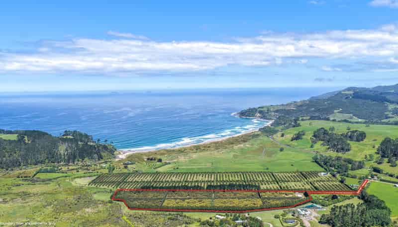 25 Orua Lane, Whenuakite