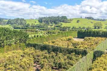 25 Orua Lane, Whenuakite