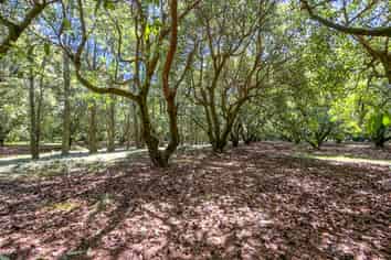 25 Orua Lane, Whenuakite