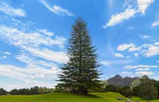 78 Bercich Road, Maungakaramea