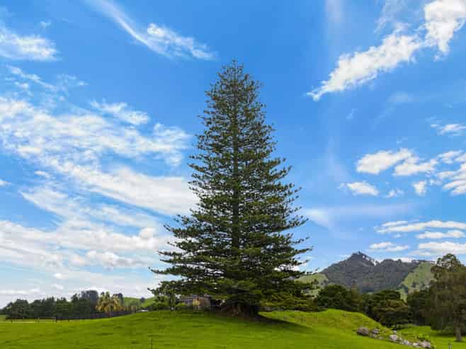 78 Bercich Road, Maungakaramea