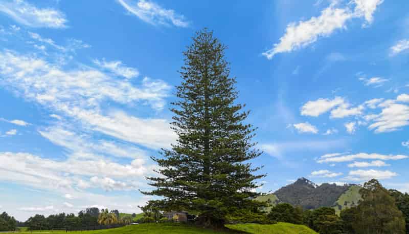 78 Bercich Road, Maungakaramea