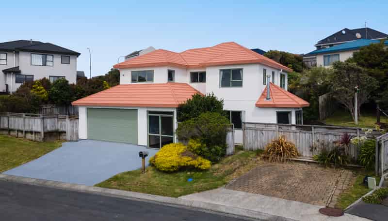 3 Morpeth Street, Johnsonville
