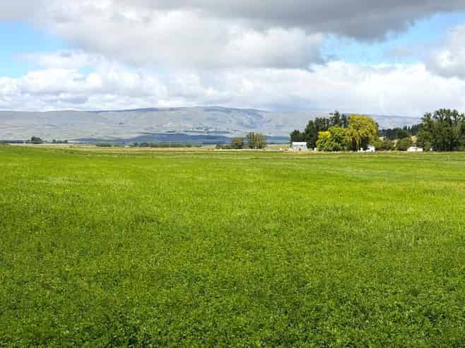  Bypass Road, Ranfurly