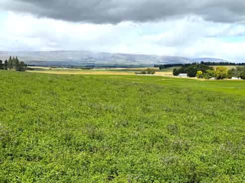 Bypass Road, Ranfurly