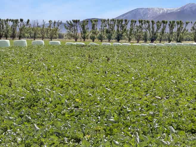  Bypass Road, Ranfurly