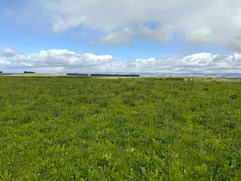  Bypass Road, Ranfurly