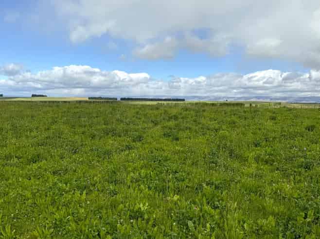  Bypass Road, Ranfurly