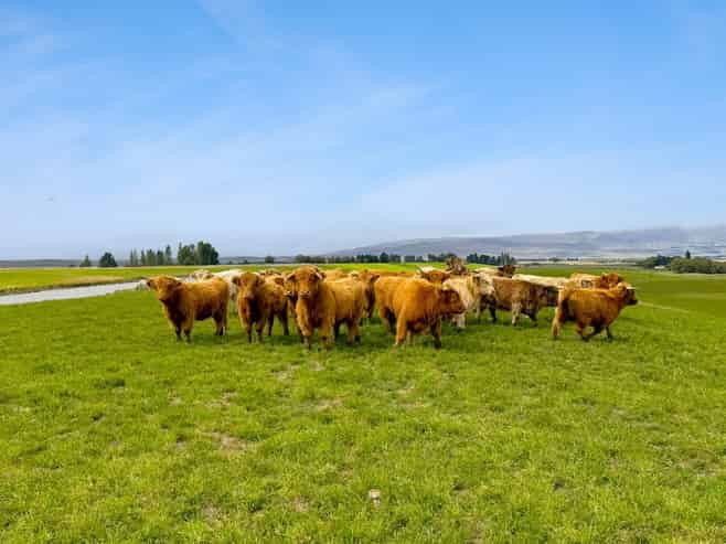  Bypass Road, Ranfurly