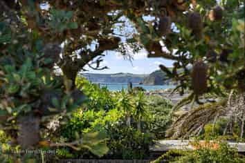  6 Jane Gifford Place, Omaha