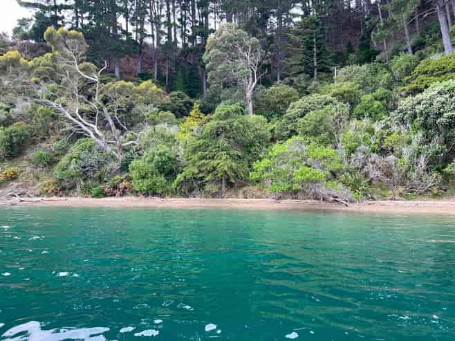  Ahitarakihi Bay, Queen Charlotte Sound