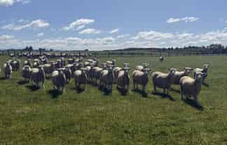 166 Brand Road, Kennington