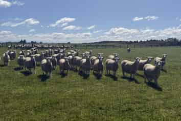 166 Brand Road, Kennington