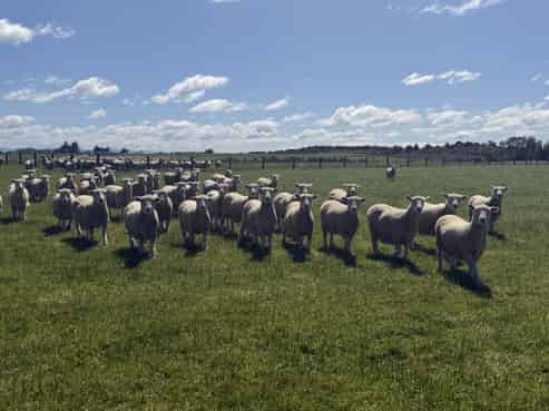 166 Brand Road, Waimatua