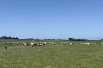 166 Brand Road, Kennington