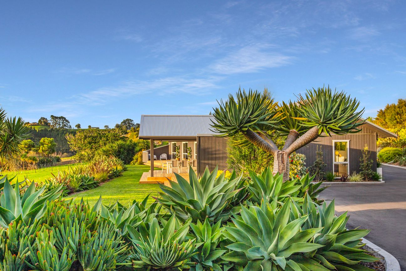 Immaculate Lifestyle Luxury in Raglan - Vista 6