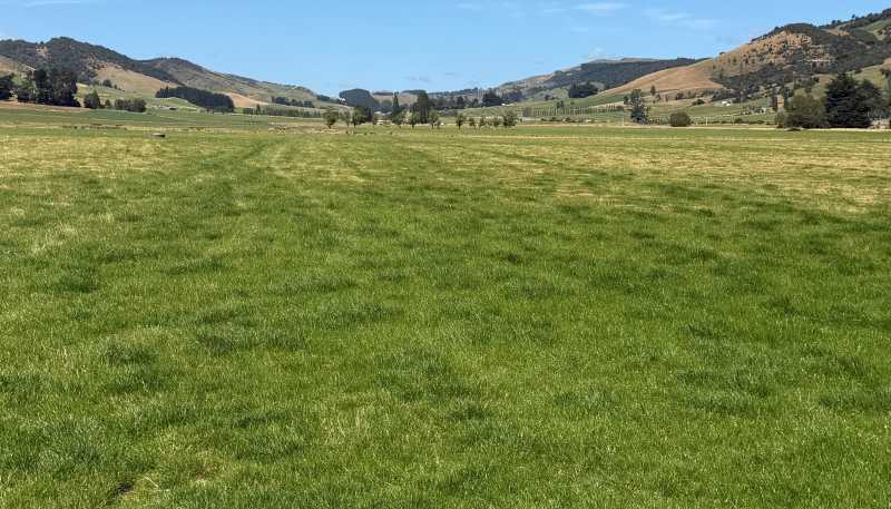 200 Caroline Valley Road, Dipton