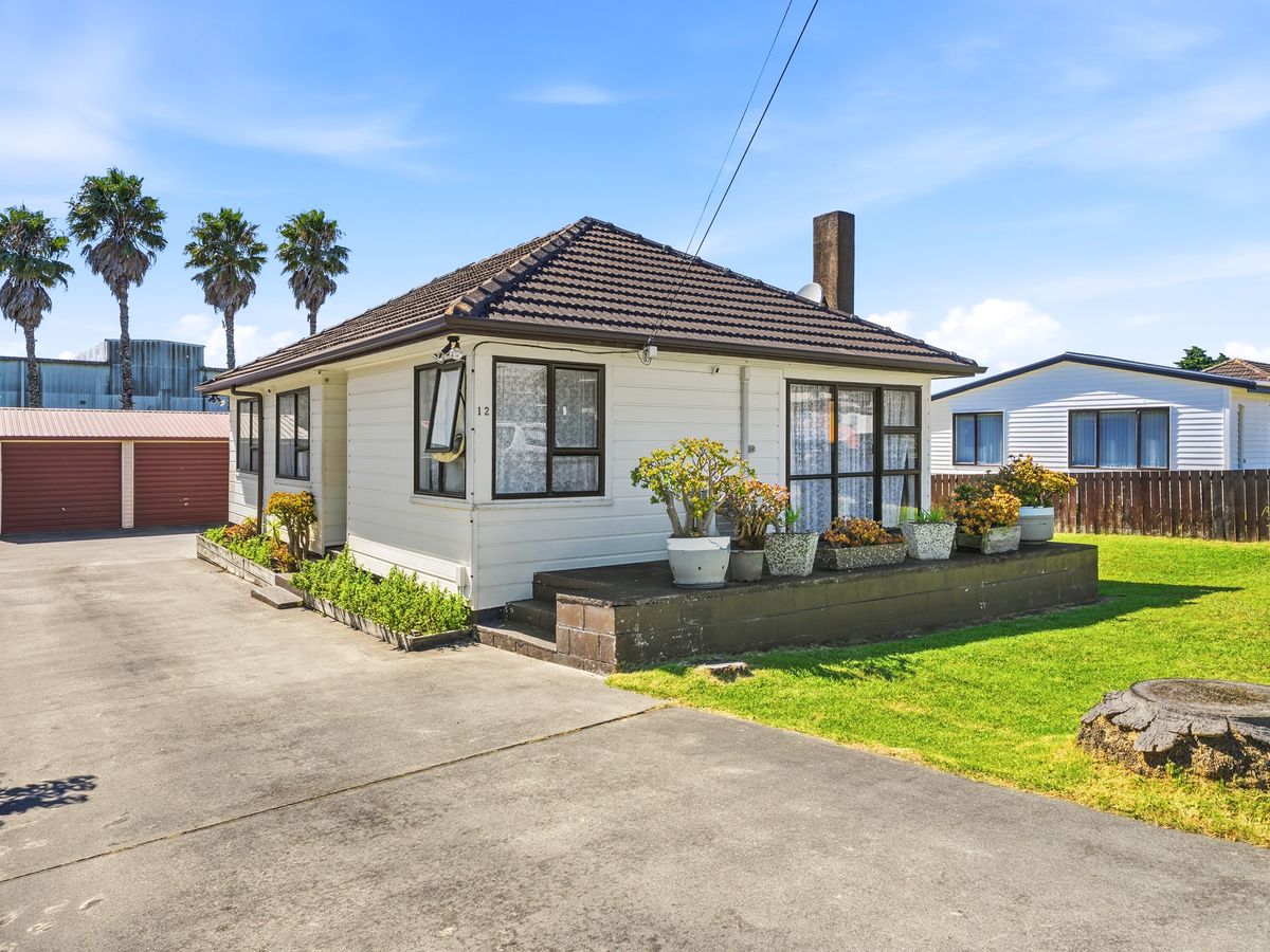 12 Plunket Avenue, Papatoetoe, Manukau City, Auckland