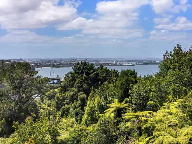 40 Goodall Street, Hillsborough