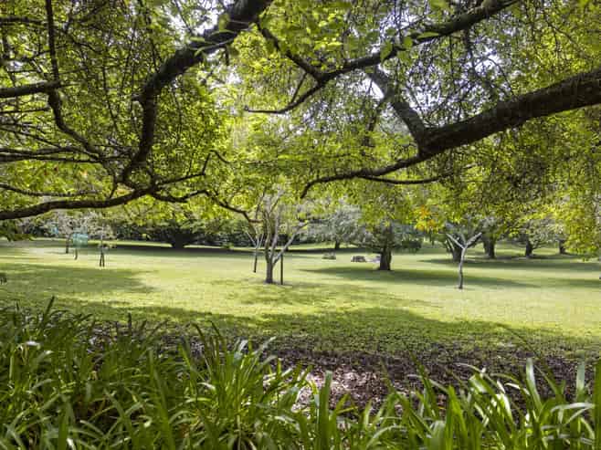 947 Omanawa Road, Lower Kaimai