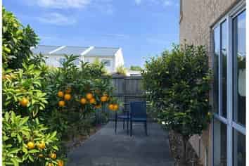 380 Selwyn Street, Addington