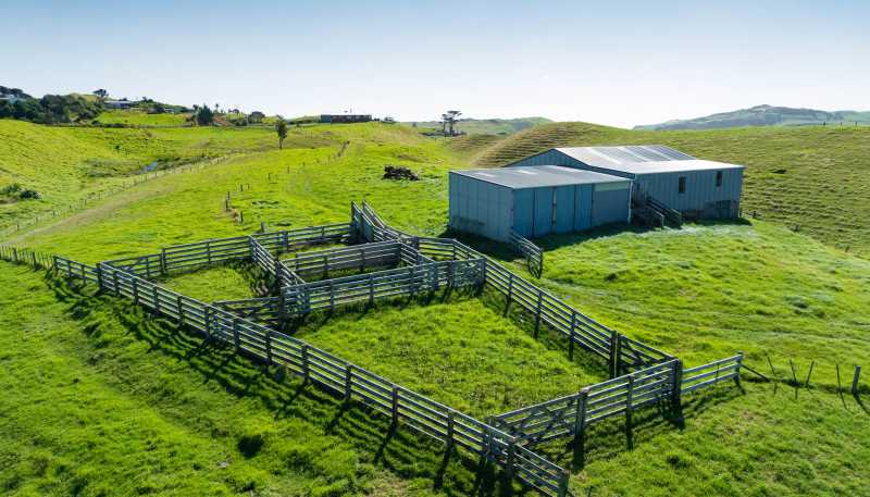 1672 Awhitu Road, Waiuku