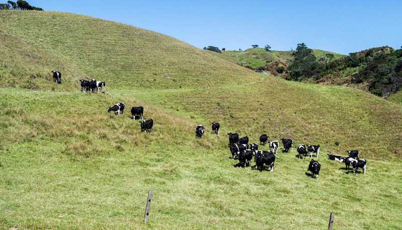 1672 Awhitu Road, Waiuku