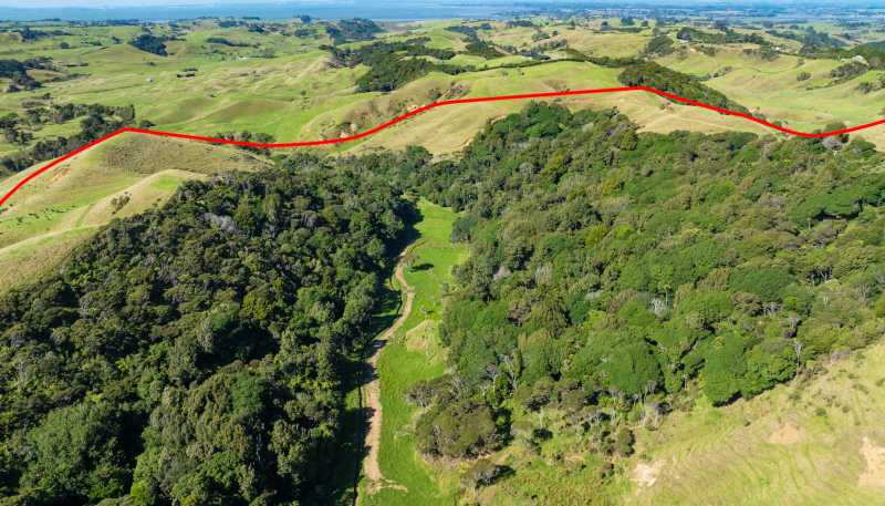 1672 Awhitu Road, Waiuku