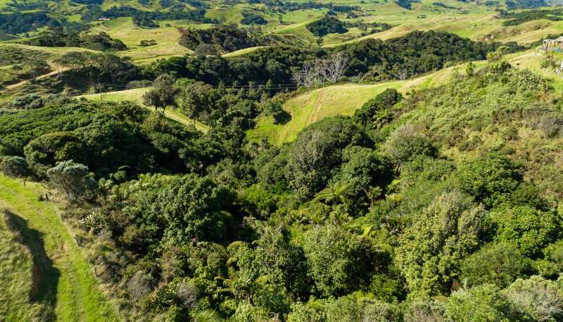 1672 Awhitu Road, Waiuku