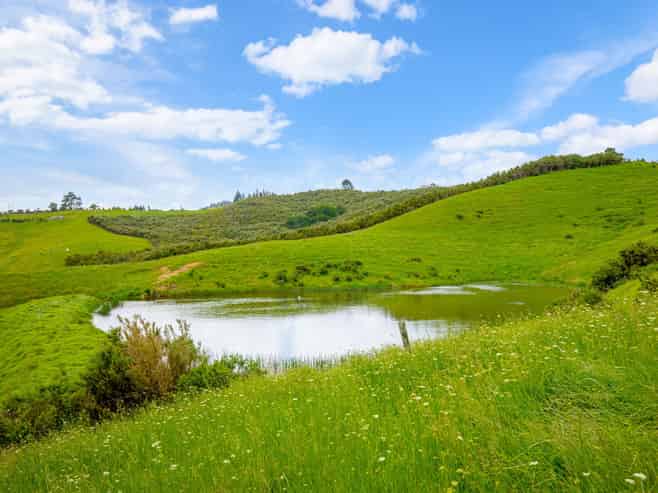 515 Kahikatea Flat Road, Waitoki