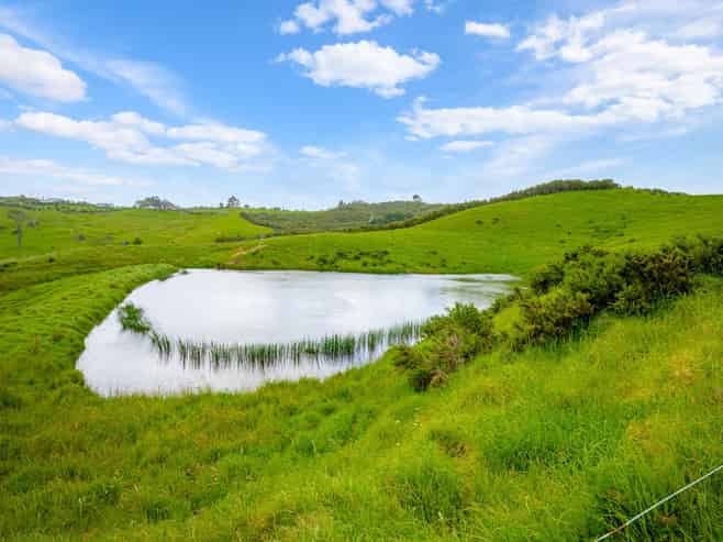 515 Kahikatea Flat Road, Waitoki