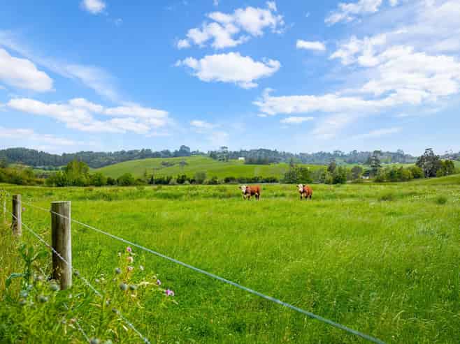 515 Kahikatea Flat Road, Waitoki