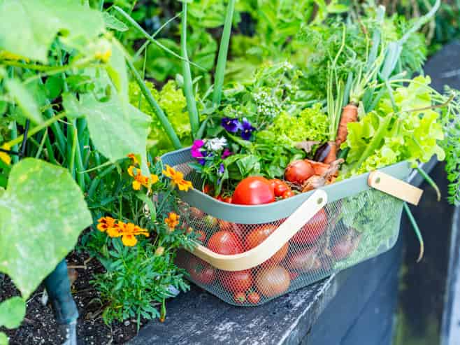 3 Bickerstaffe Road, Maungaturoto