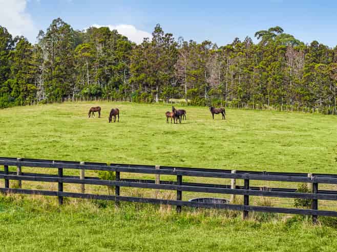  145 Hanham Road, Kumeu