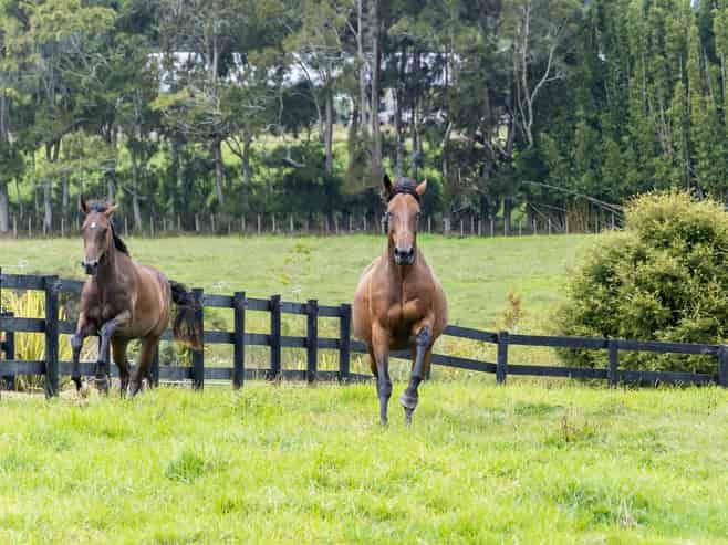  145 Hanham Road, Kumeu