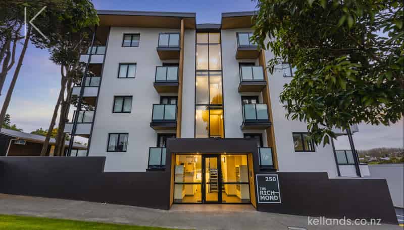 250 Richmond Road, Grey Lynn