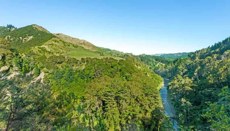 1131 Whakarau Road, Otoko