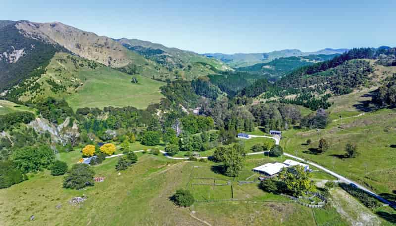 1131 Whakarau Road, Otoko