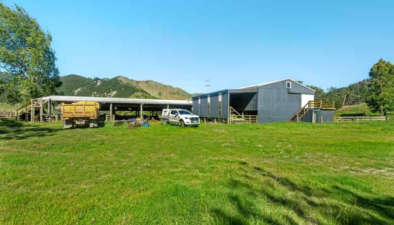 1131 Whakarau Road, Otoko