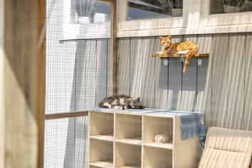 79C Jackson Road, Maungatapere