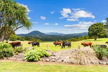 992 State Highway 14, Maungatapere