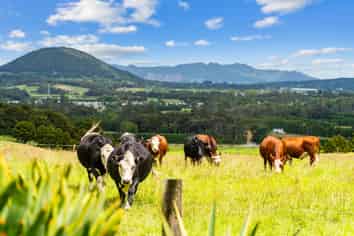 992 State Highway 14, Maungatapere