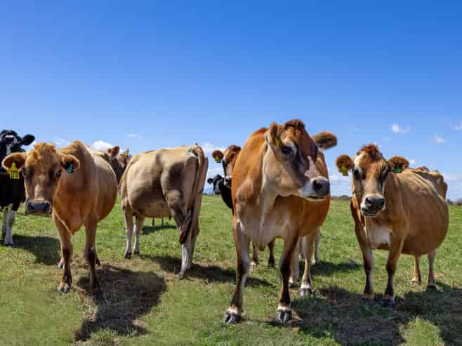 331 Kneebone Road, Orini