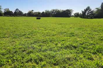 45 and 47 Windsor Road, Inglewood