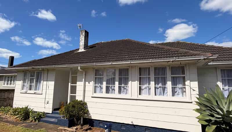 20 Ropata Avenue, Point England