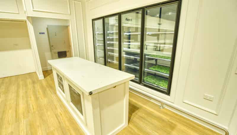 17 Power Road, Karoro